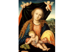 VlCR-129 Lucas Cranach - Madonna s dítětem