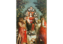 SO VII-160 Andrea Mantegna - Madonna na trůnu