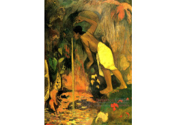 R9-96 Paul Gauguin - Tajemná voda