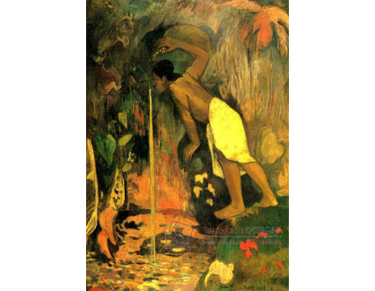 R9-96 Paul Gauguin - Tajemná voda