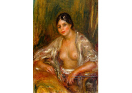 VR14-242 Pierre-Auguste Renoir - Gabrielle v orientálním kostýmu