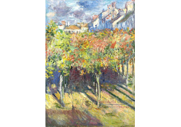 VCM 100 Claude Monet - Limetky v Poissy