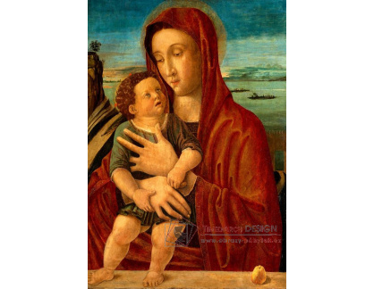 SO VII-117 Giovanni Bellini - Madonna s dítětem