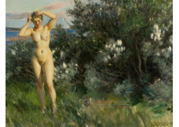 A-6794 Anders Zorn - U jezera Siljan