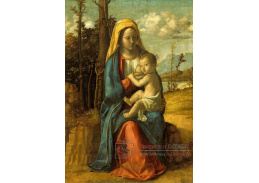 VSO1383 Cima da Conegliano - Madonna s dítětem