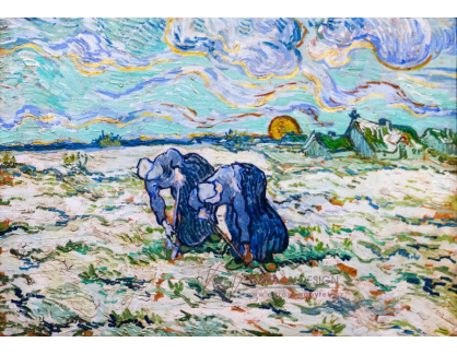 A-5 Vincent van Gogh - Dvě ženy kopající na poli pod sněhem