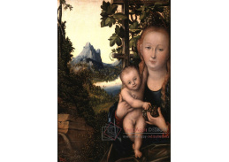 VlCR-150 Lucas Cranach - Madonna s dítětem