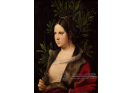 SO VII-108 Giorgione - Laura