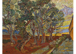 VR2-132 Vincent van Gogh - Zahrada nemocnice Saint-Paul