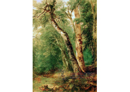 VSO238 Asher Brown Durand - Les