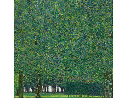 Gustav Klimt - Park, 40x40 cm