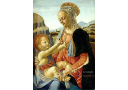 SO VII-20 Andrea del Verrocchio - Madonna s dítětem