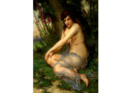 SO XVII-339 Guillaume Seignac - V lese