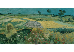 D-8410 Vincent van Gogh - Rovina v Auvers