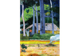 KO V-122 Paul Gauguin - Dům mezi stromy