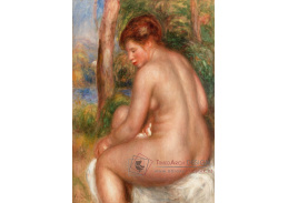 D-6923 Pierre-Auguste Renoir - Koupání 