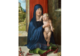 VR12-30 Albrecht Dürer - Madonna s dítětem