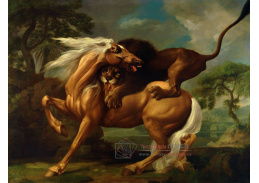 SO X-434 George Stubbs - Lev útočící na koně