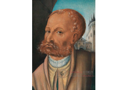 DDSO-2882 Lucas Cranach - Portrét muže s vousy