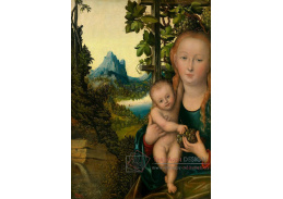 VlCR-132 Lucas Cranach - Madonna s dítětem