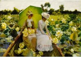 DDSO-3598 Charles Courtney Curran - Lotosové lekníny