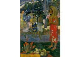 KO V-482 Paul Gauguin - Zdrávas Maria