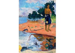 D-8012 Paul Gauguin - Haere Pape