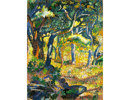 A-5604 Henri-Edmond Cross - Na mýtině v Provence