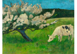 A-3710 Paul Sérusier - Bílá kráva