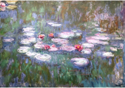 D-7073 Claude Monet - Lekníny