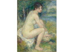 VR14-100 Pierre-Auguste Renoir - Akt v krajině