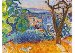 A-3730 Pierre Bonnard - Le Cannet