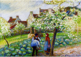 VCP-141 Camille Pissarro - Kvetoucí švestky