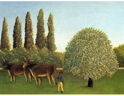 VF46 Henri Rousseau - Na polích