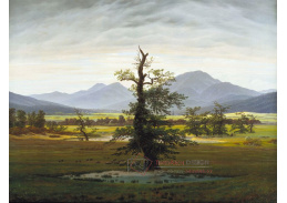 VSO 397 Caspar David Friedrich - Osamělý strom