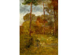 D-7869 George Inness - Jaro v Tarpon