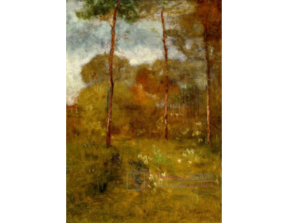 D-7869 George Inness - Jaro v Tarpon