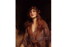 VU167 James Jebusa Shannon - Portrét Lily Elsie