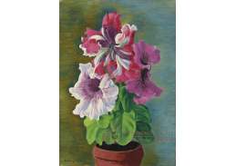 A-8256 Moise Kisling - Orchideje