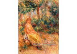 D-6904 Pierre-Auguste Renoir - Žena v růžovém a žlutém