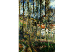 VCP-473 Camille Pissarro - Domy v Hermitage