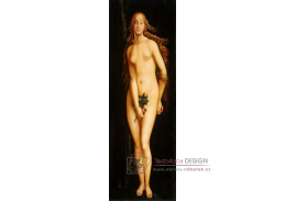 DDSO-2507 Hans Baldung - Eva