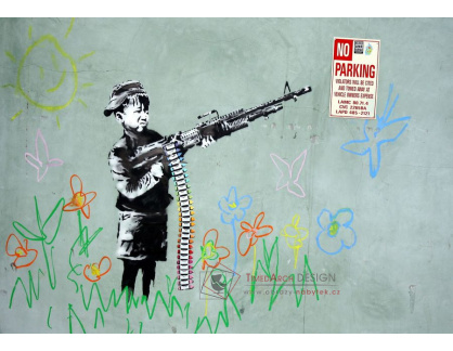 Banksy VR51-2