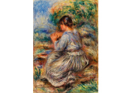 D-6916 Pierre-Auguste Renoir - Dívka sedící v krajině