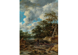 A-2865 Jacob van Ruisdael - Lesní krajina s vodopádem