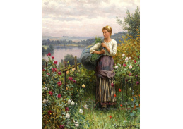 XV-370 Daniel Ridgway Knight - Růže v zahradě