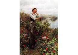 VSO1400 Daniel Ridgway Knight - Zamyšlení