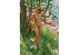 DDSO-27 Anders Zorn - Ve stínu