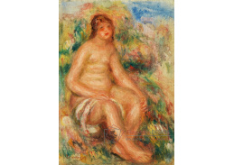 D-6920 Pierre-Auguste Renoir - Koupání 