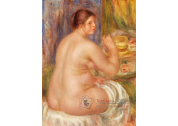 D-6890 Pierre-Auguste Renoir - Akt zezadu